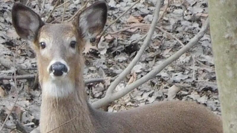 Route 224 Trailhead - East Golf Hike & Bike Trail - Boardman, OH