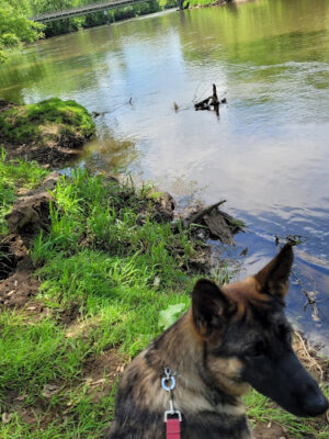 River Community Park / Tuscarawas river water trail access ( river mile 71.8 )
