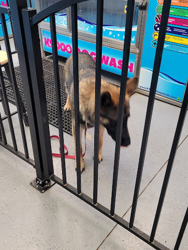 Wags N' Wiggles DIY Pet Wash