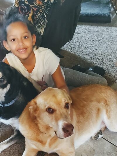 Wags N' Wiggles DIY Pet Wash - Bolivar, OH