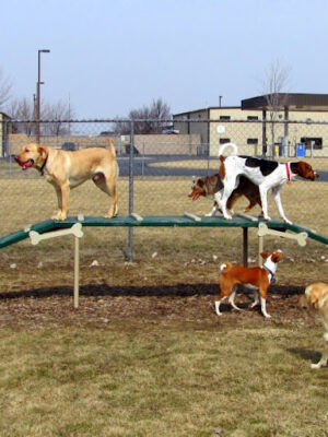 Wood County Dog Park