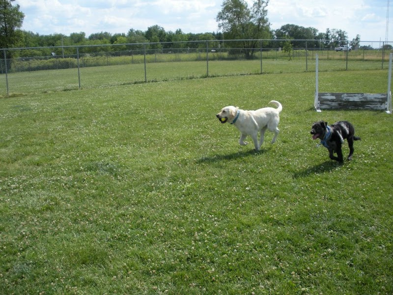 Wood County Dog Park - Bowling Green, OH
