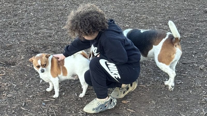 Doggie Dugout-Registration Required - Bowmansdale, PA