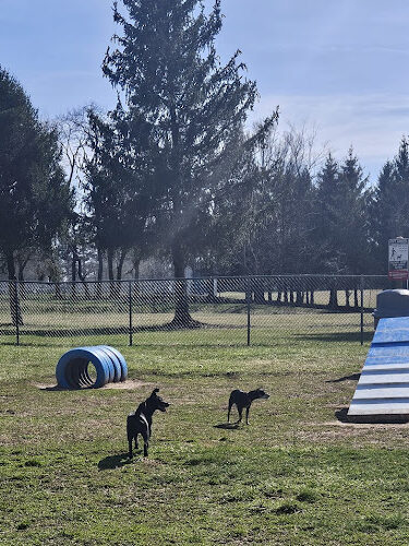 Doggie Dugout-Registration Required
