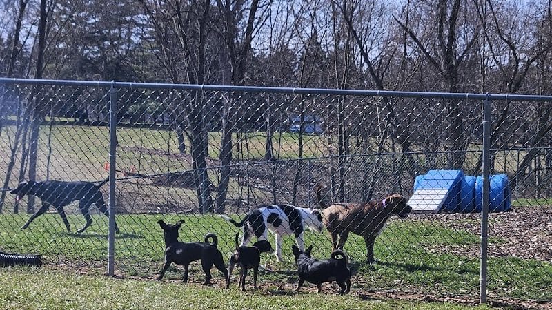 Doggie Dugout-Registration Required - Bowmansdale, PA