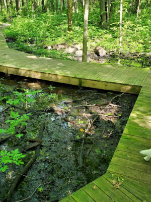 Bradner Preserve
