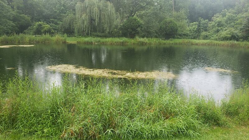 Bradner Preserve - Bradner, OH