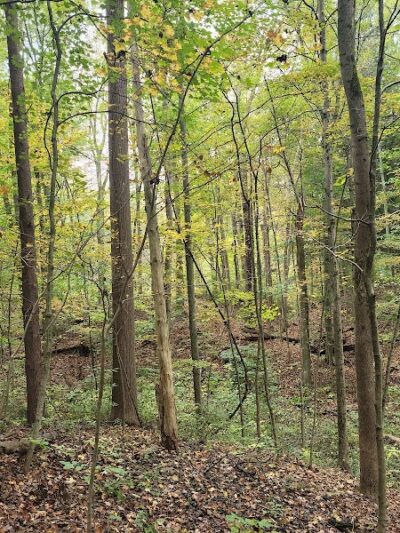 Brecksville Reservation - Brecksville, OH