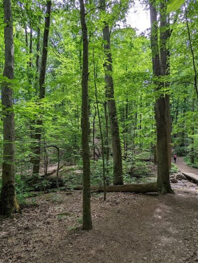 Brecksville Reservation - Brecksville, OH