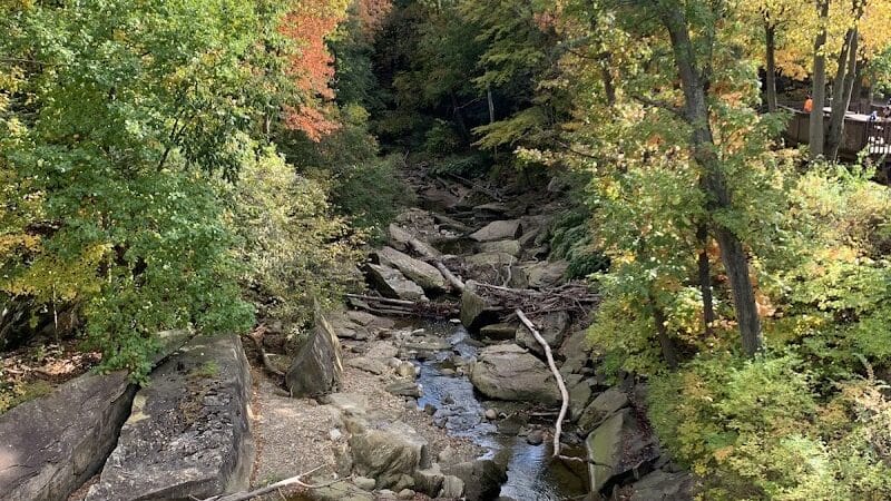 Chippewa Creek Gorge Scenic Overlook - Brecksville, OH
