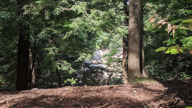Chippewa Creek Gorge Scenic Overlook - Brecksville, OH