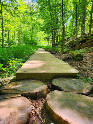 Gorge Loop