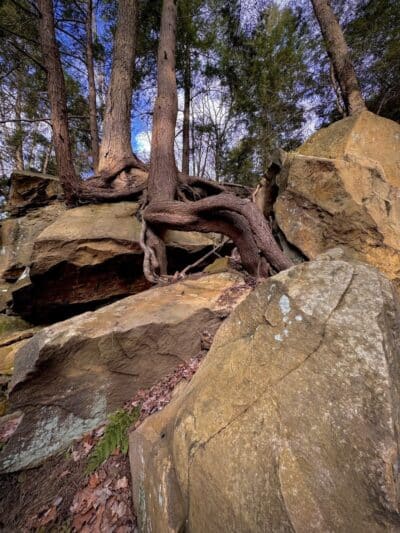 Gorge Loop - Brecksville, OH