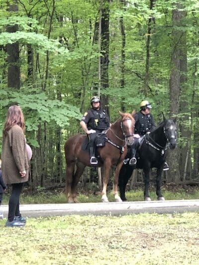 Meadows Picnic Area - Brecksville, OH