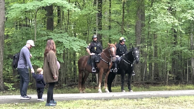Meadows Picnic Area - Brecksville, OH