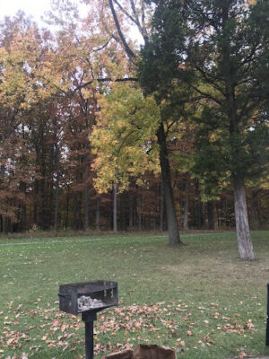 Oak Grove Picnic Area