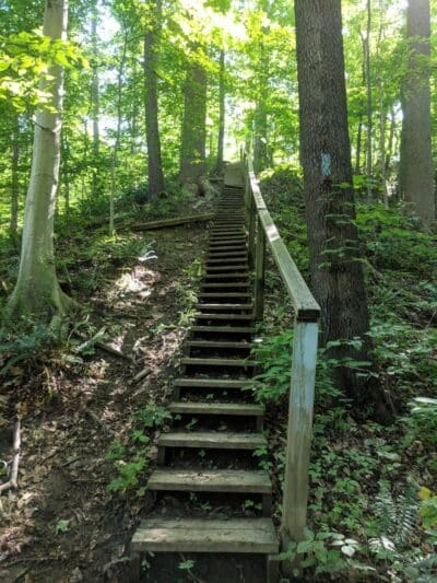 Oak Grove Picnic Area - Brecksville, OH