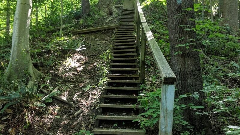 Oak Grove Picnic Area - Brecksville, OH