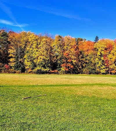 Oak Grove Picnic Area - Brecksville, OH