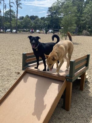 Brewster Dog Park
