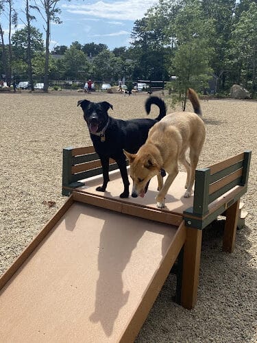 Brewster Dog Park