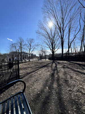 Bridgeport Dog Park