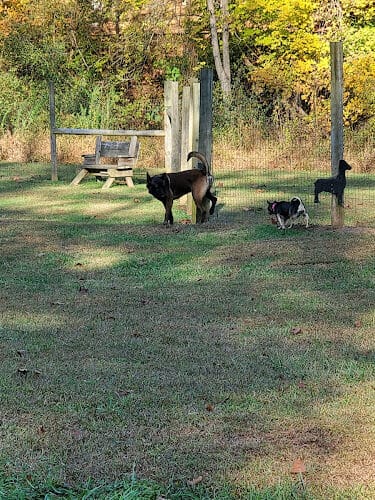 Bridgeport Bark Park