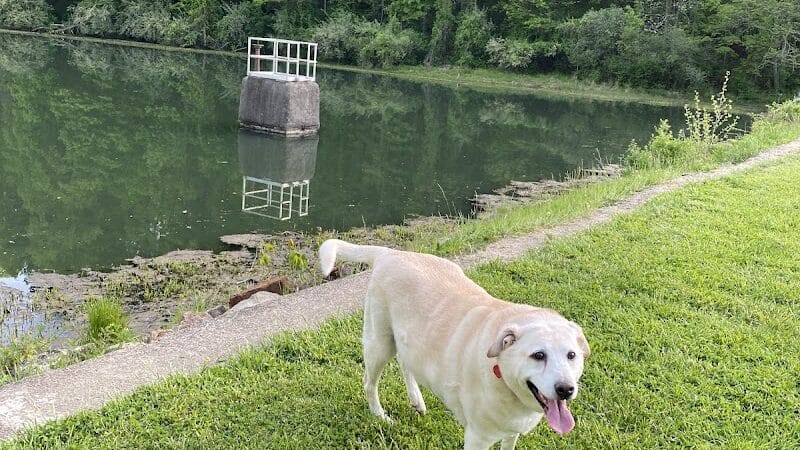 Bridgeport Bark Park - Bridgeport, WV