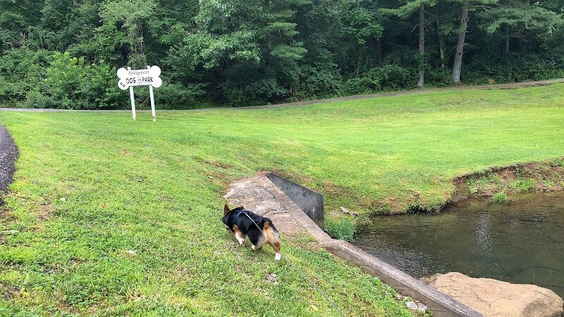 Bridgeport Bark Park - Bridgeport, WV
