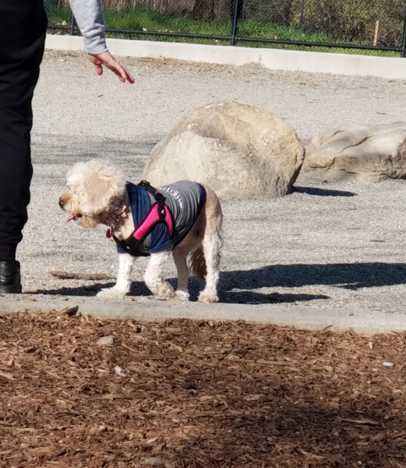 Pelham Bay Dog Run - Bronx, NY