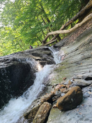 Tuxedo Park