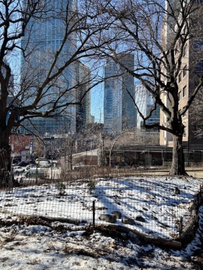 Fort Greene Park - Brooklyn, NY