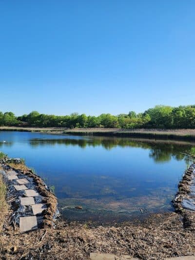 Highland Park - Brooklyn, NY