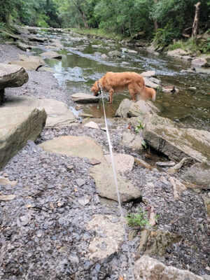 Big Creek Park