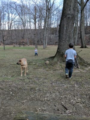 Big Creek Reservation - Brooklyn, OH