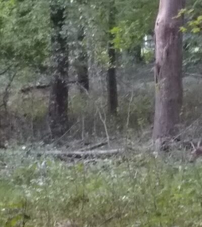 Marquardt Park - Brooklyn, OH