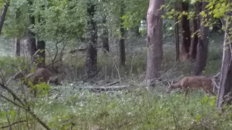 Marquardt Park - Brooklyn, OH