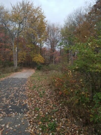 Marquardt Park - Brooklyn, OH