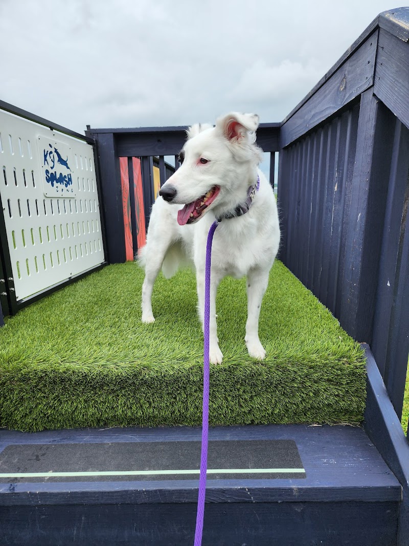 K9 Splash Zone - Brookville, OH