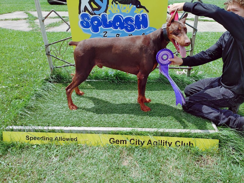 K9 Splash Zone - Brookville, OH