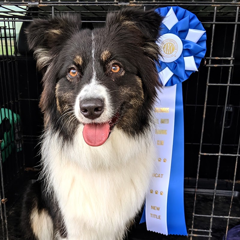 K9 Splash Zone - Brookville, OH