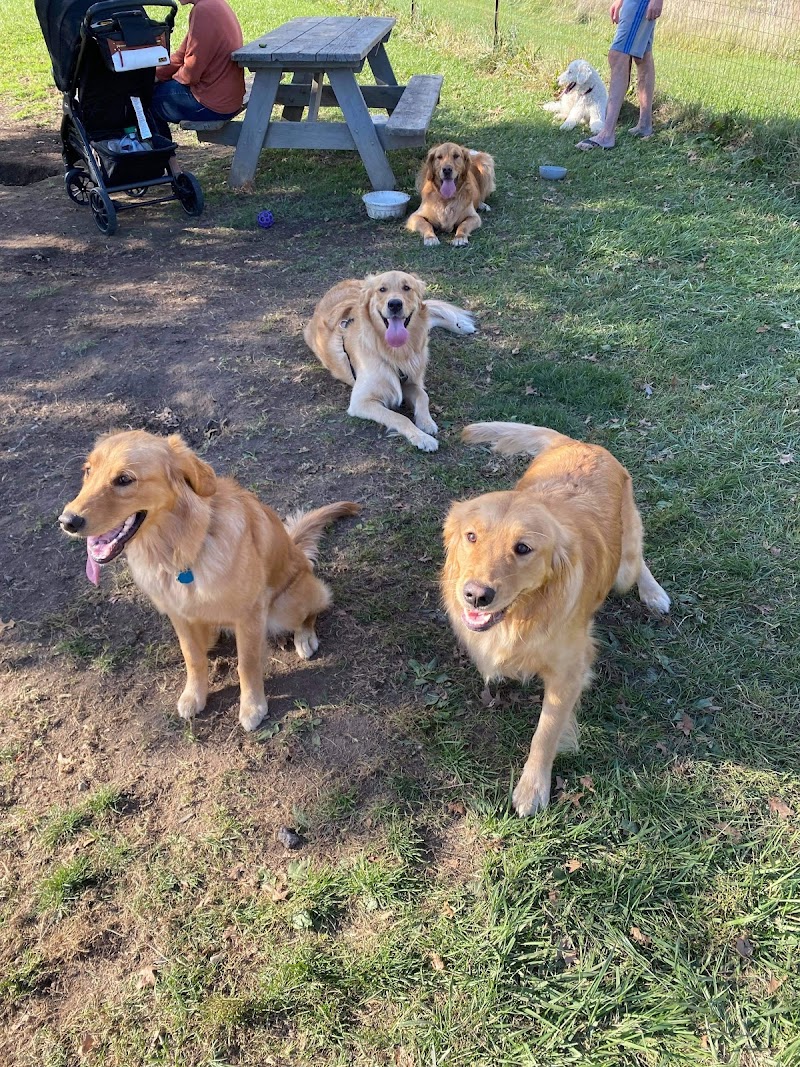 Brunswick Dog Park - Brunswick, OH