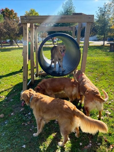 Brunswick Dog Park - Brunswick, OH