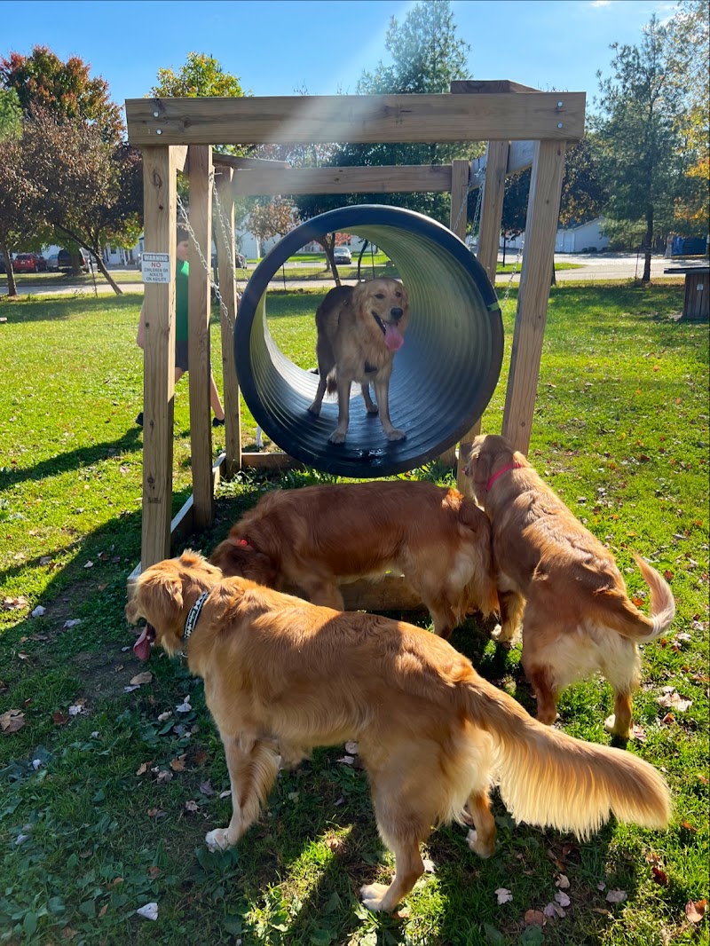 Brunswick Dog Park - Brunswick, OH