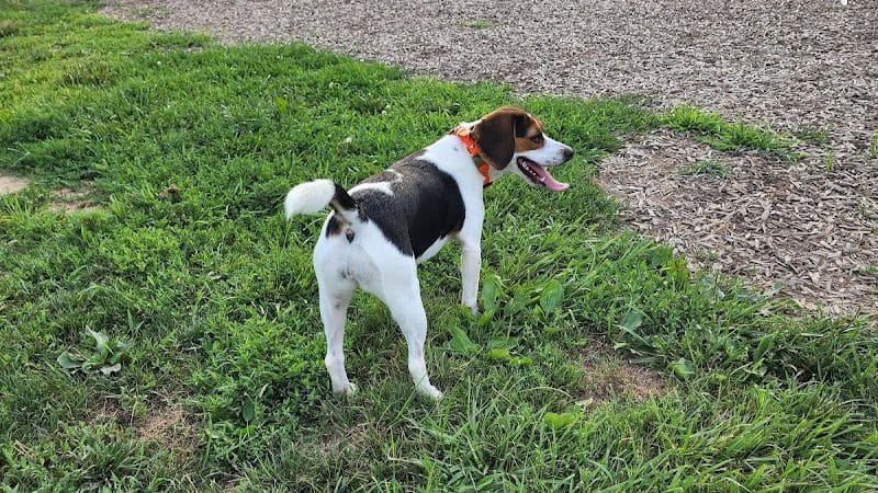 Boone County Dog Park - Burlington, KY
