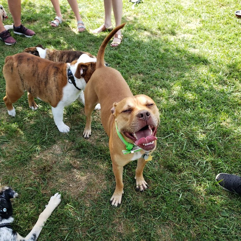 Boone County Dog Park - Burlington, KY