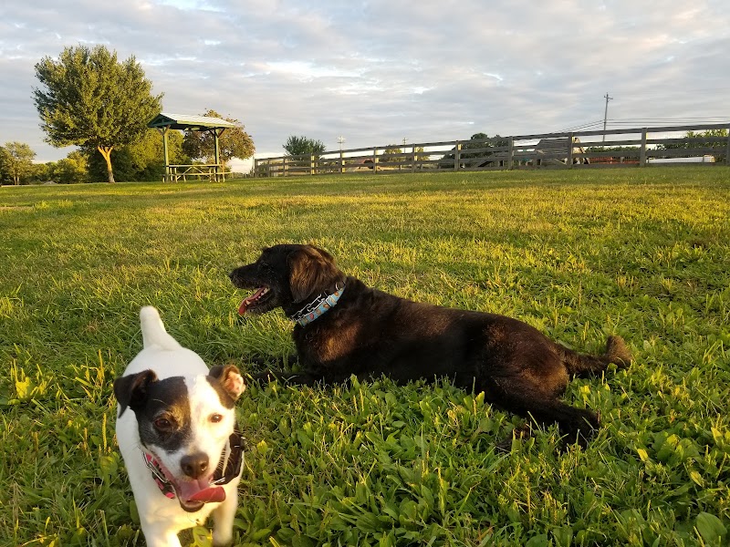 Boone County Dog Park - Burlington, KY
