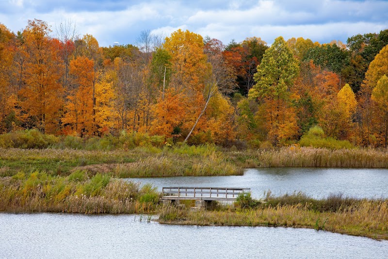 Blue Heron Preserve - Burton, OH