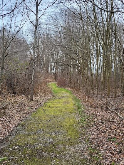 Burton Wetlands Nature Preserve - Burton, OH