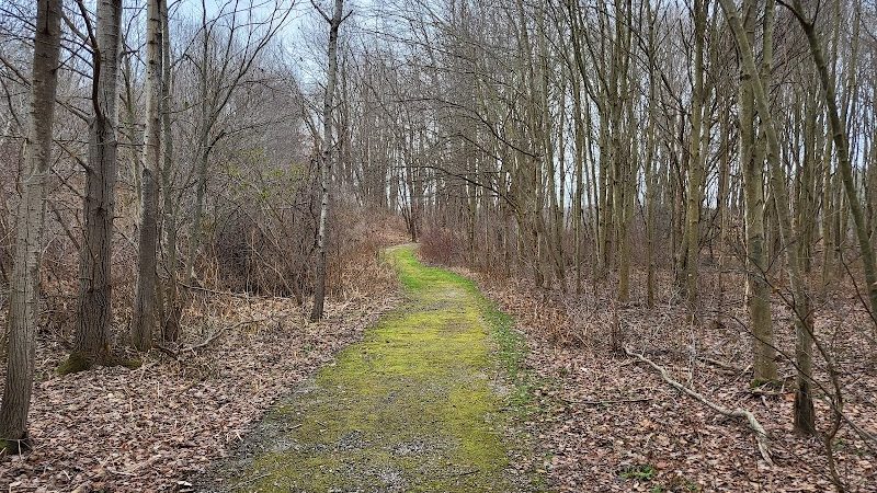 Burton Wetlands Nature Preserve - Burton, OH